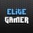 Elite Gamer